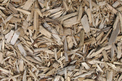 biomass boilers Carnteel