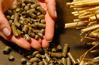 free Carnteel biomass boiler quotes